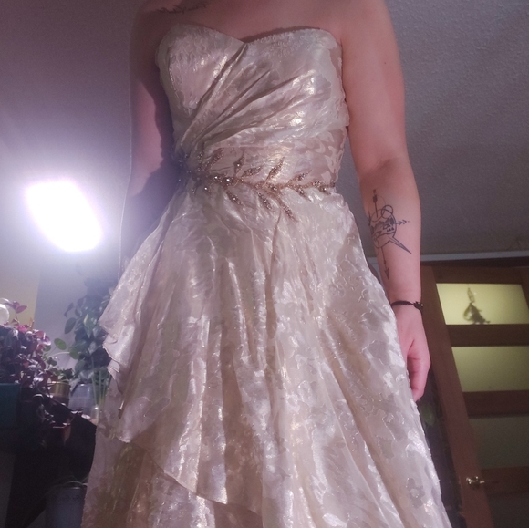 Silk dress - Picture 4 of 6